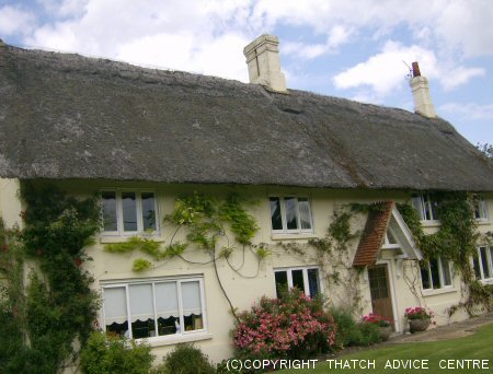 Long Thatched Cottage