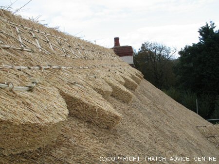 Ornamental Ridge Work